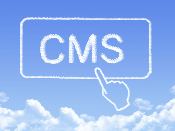 Headless CMS: A Good Thing Gone Awry?