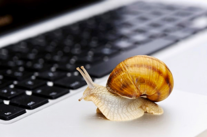 FAQ: Why Is My Website Soooo Slow? A Technical Examination.