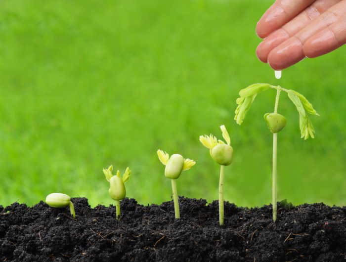 How Long Does It Take To See Results With Inbound Marketing?