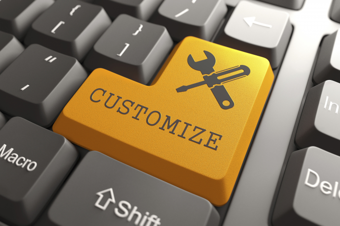 What’s the Best Approach: Plugins or Custom Web Development?