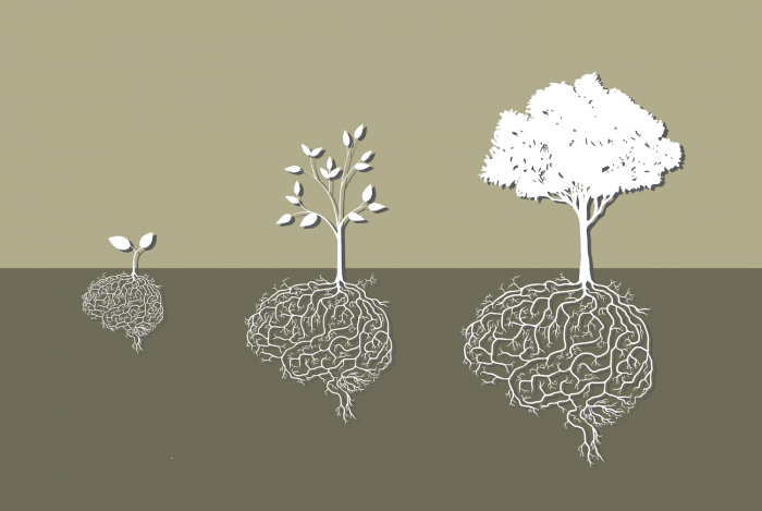 5 Real Signs That Show Your Business Has Outgrown WordPress