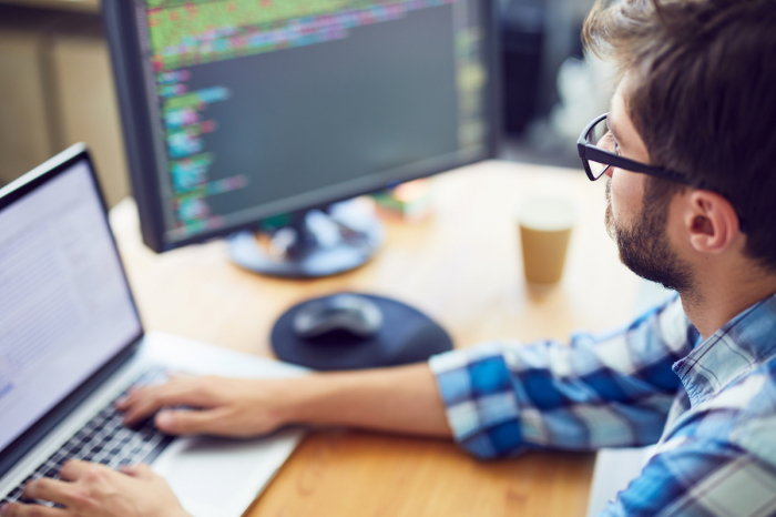 Knowing the Difference Between a CMS Vendor and a Custom CMS Developer
