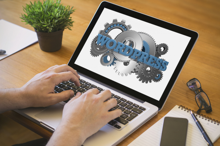 Should You Consider WordPress for Enterprise Environments?