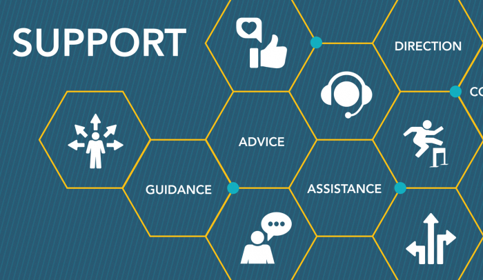 Announcing Our New Managed WordPress Support Service