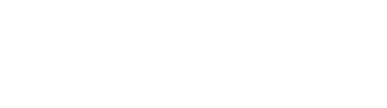Laser Service Solutions