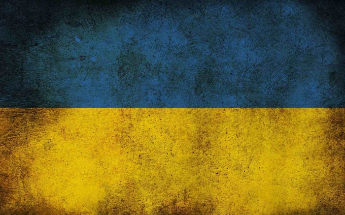 The Situation in Ukraine