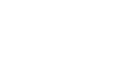 Dice